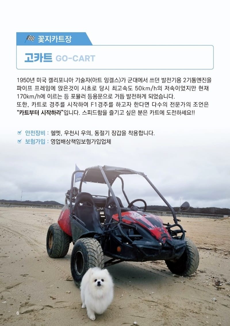 꽃지카트장 갤러리 5