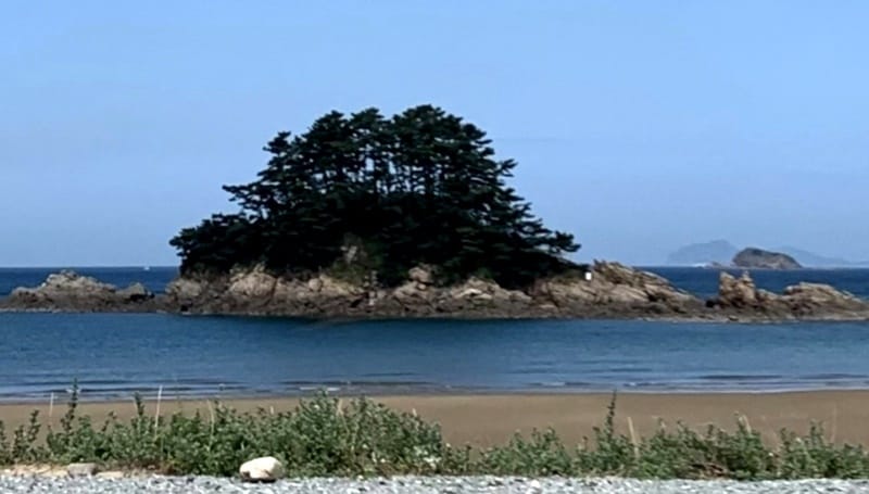 동백모텔 갤러리 6