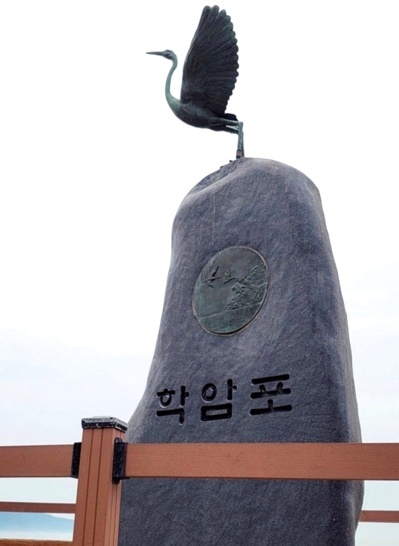 동백모텔 갤러리 7
